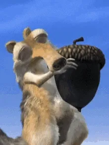 Everything You Need to Know About Acorns