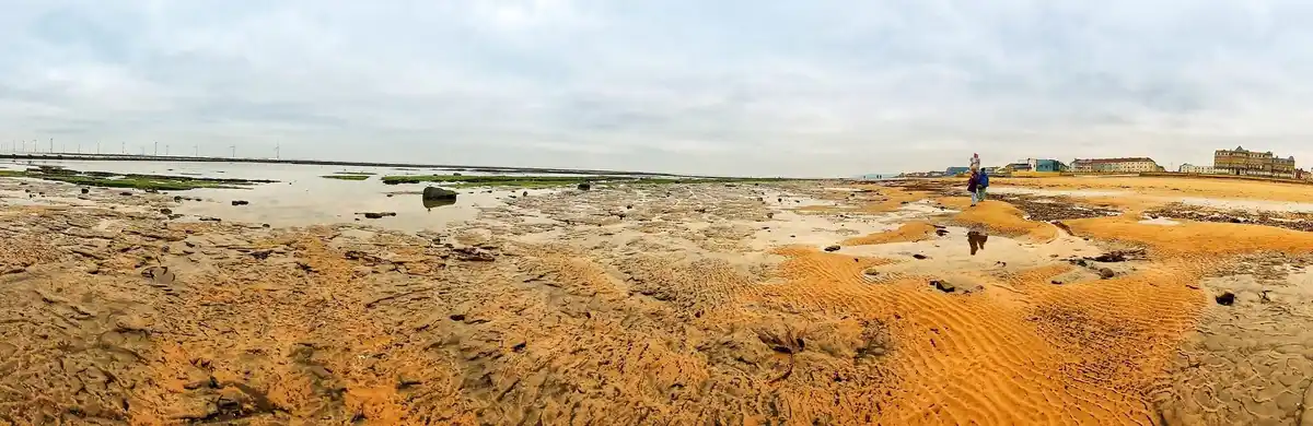A wide-angle photo of a vast, wet, sandy beach with tidal pools and scattered seaweed under an overcast sky. Two small…