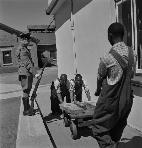 A black-and-white historical photograph shows a white soldier holding a rifle while three Black men in overalls load bricks…