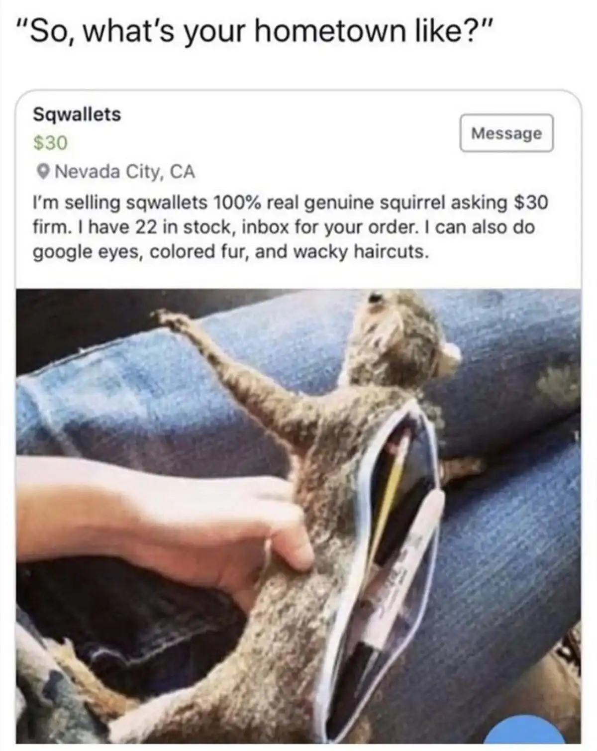 An image shows a person holding a real squirrel that is being used as a wallet, with pens and pencils sticking out of its…