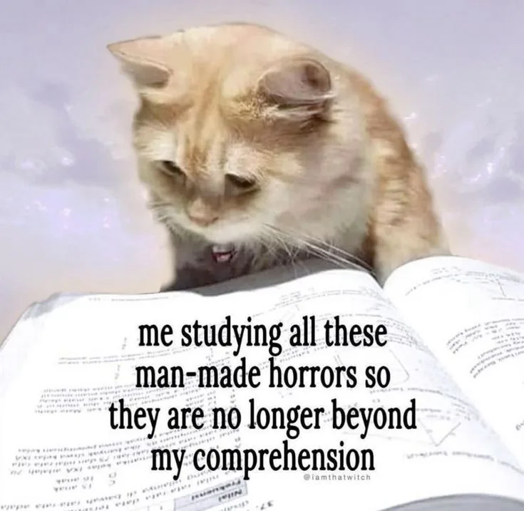 A light brown cat with a slightly annoyed or tired expression is shown looking down at an open book filled with dense text…