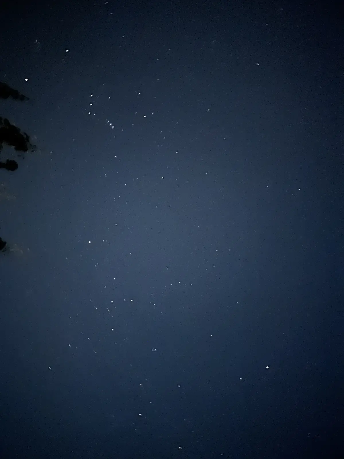 A dark night sky filled with numerous small, bright white dots resembling stars, with dark silhouettes of tree branches…