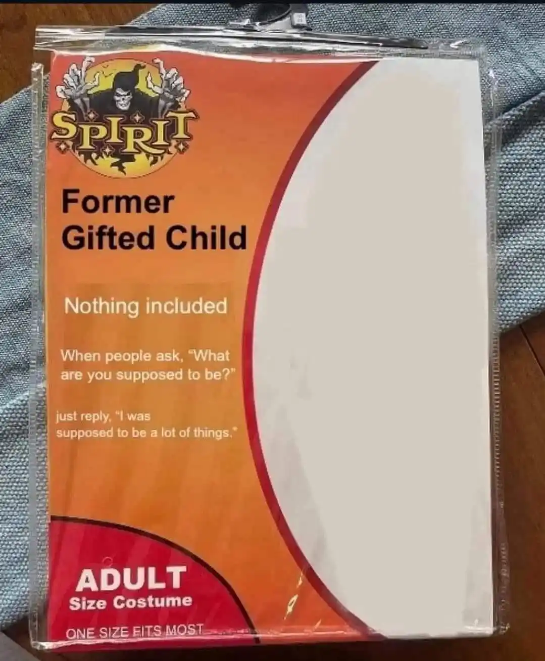 A Spirit Halloween costume package labeled 'Former Gifted Child' with a large blank white area, implying no costume is…