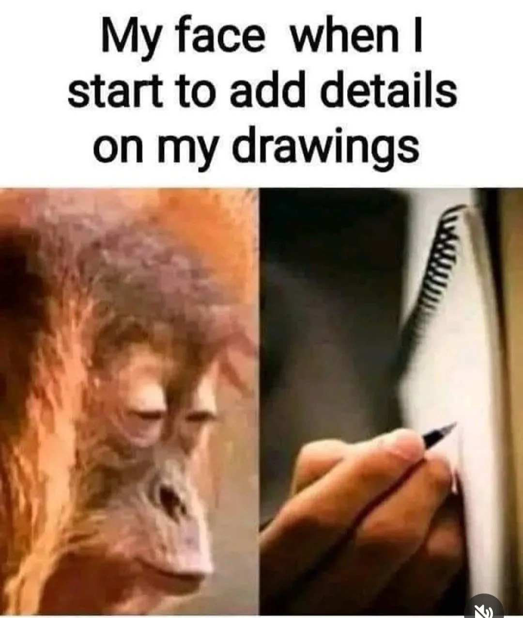 The image is split: on the left, a close-up of an orangutan with a weary, exhausted expression; on the right, a hand holding…