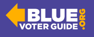 Your Essential Printable Guide to Election Candidates: Vote Blue with Confidence!