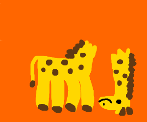 A simple, childlike drawing shows two yellow giraffes with brown spots against a solid orange background. The giraffe on the…