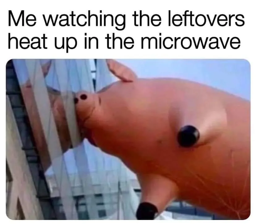 A large inflatable pig balloon is shown with its snout pressed against a glass window, appearing to watch intently. The…