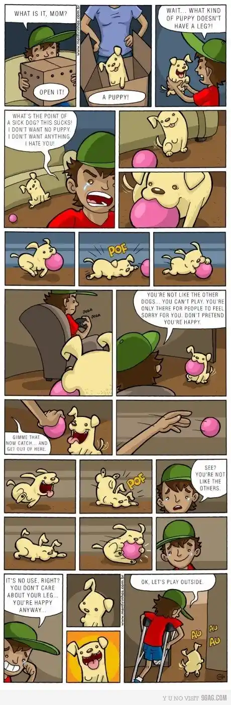 A comic strip shows a boy receiving a puppy with one leg missing, which he initially hates. The puppy, however, is joyful…