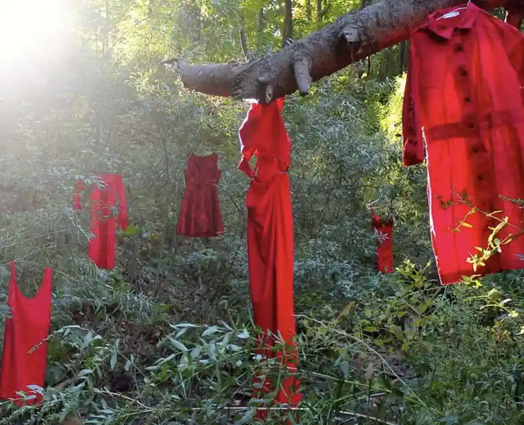 Several red garments, including dresses and a shirt, are hung on tree branches and foliage in a sunlit forest. The overlaid…