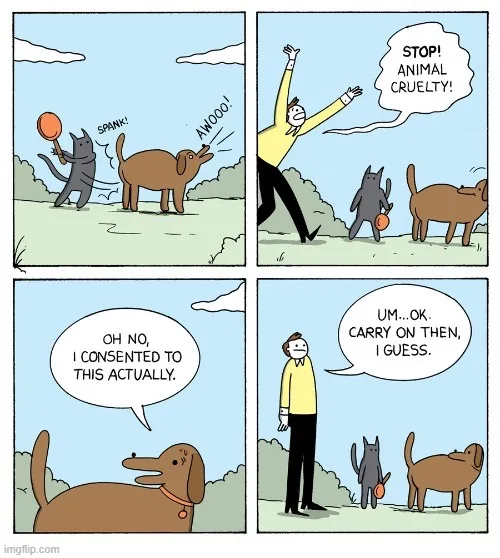 A four-panel comic strip shows a gray cat hitting a brown dog with a ball, causing the dog to yelp. A man intervenes…