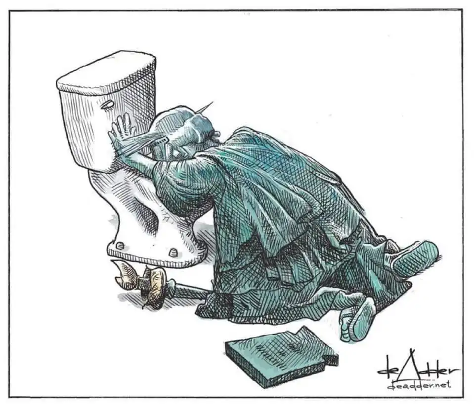 A cartoon depicts a person in a greenish-blue dress and shoes, kneeling and struggling to fix a toilet with a wrench. The…
