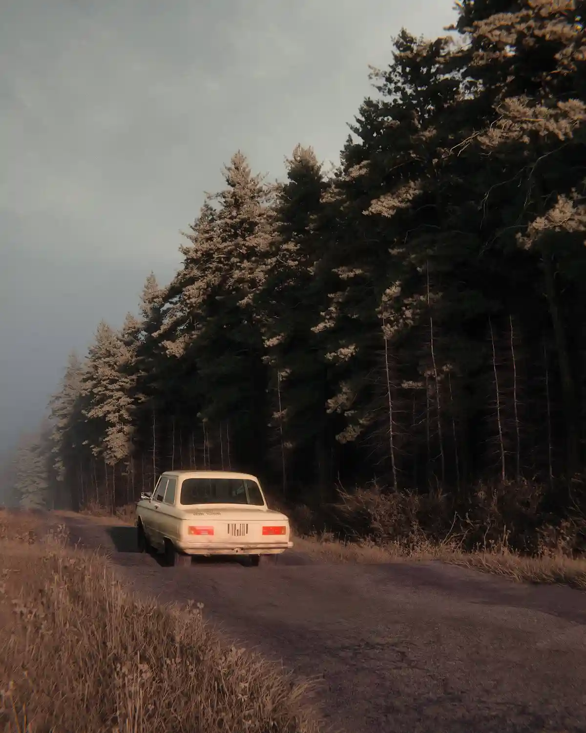 A vintage white car drives down a narrow, winding dirt road flanked by tall, dense pine trees under a muted, overcast sky…