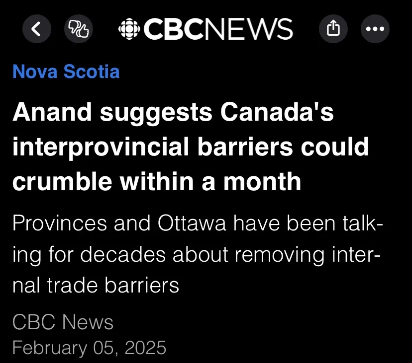 A screenshot of a CBC News article from February 5, 2025, with the headline 'Anand suggests Canada's interprovincial…