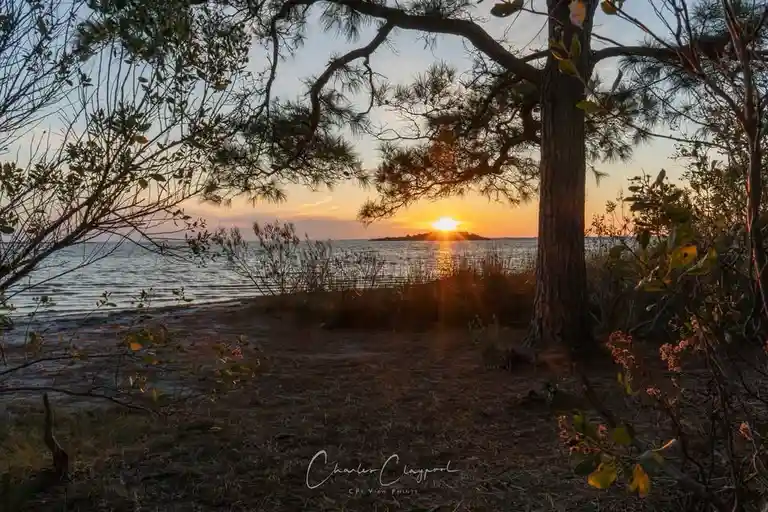 A serene sunset photograph shows the sun setting over water, framed by the branches of a pine tree and surrounding foliage…