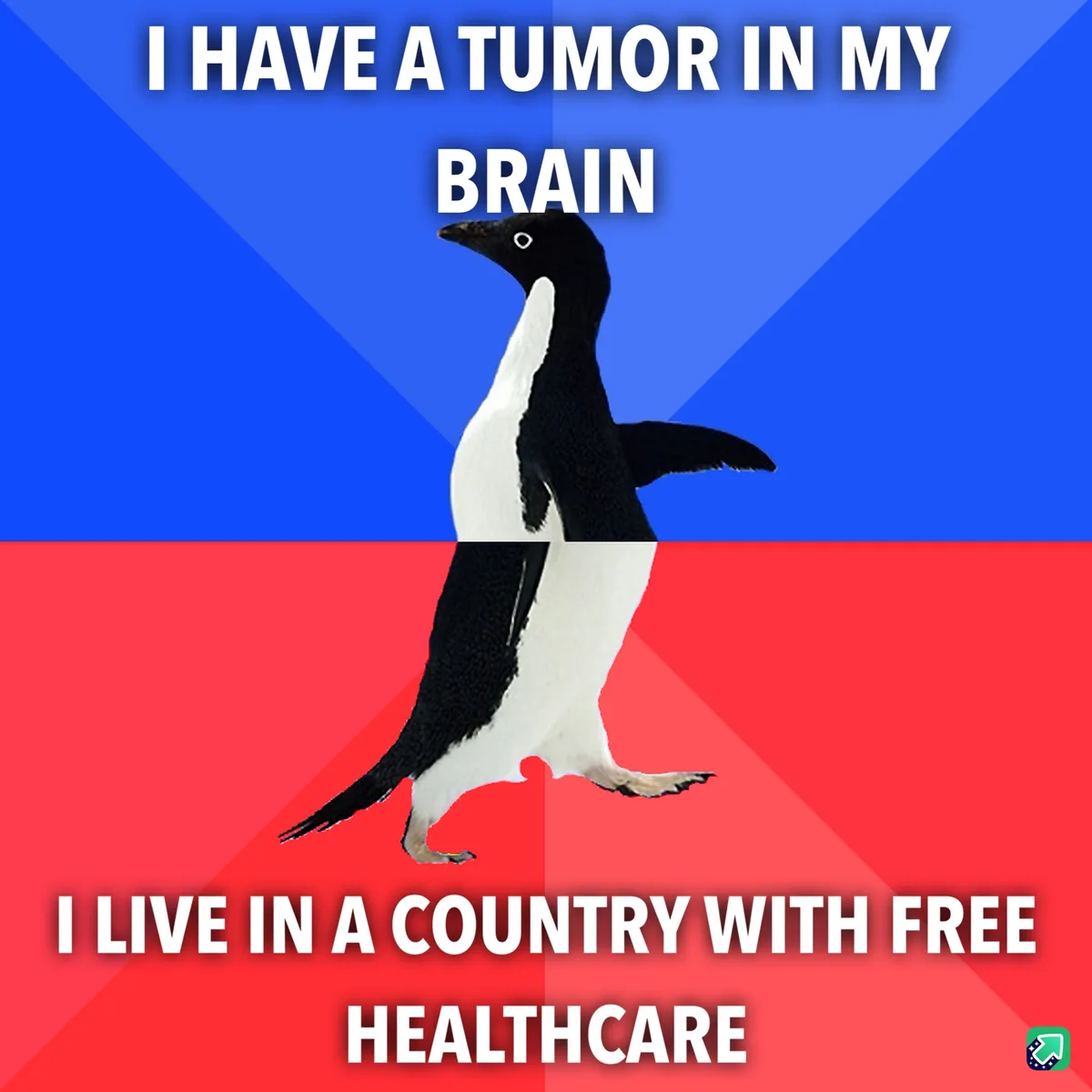 A penguin stands centered against a blue and red background, with white text at the top stating 'I HAVE A TUMOR IN MY BRAIN'…