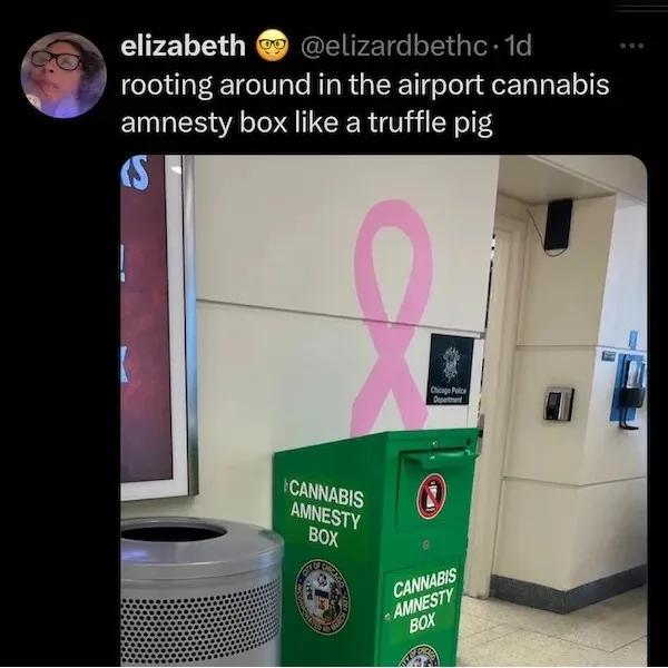 A green box labeled 'CANNABIS AMNESTY BOX' with a Chicago Police Department seal is shown in an airport setting, next to a…