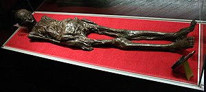 A preserved human mummy lies on a red display platform inside a glass case, with a small plaque beside it. The overlaid text…