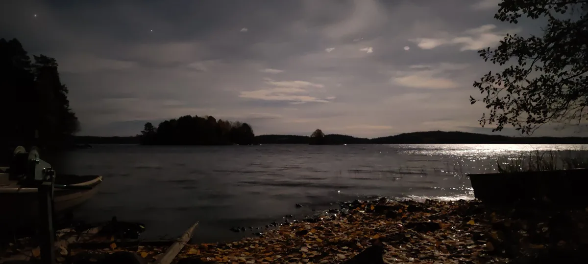 A dimly lit lakeside scene at dusk or dawn, with a boat on the left, a shoreline covered in fallen autumn leaves, and…