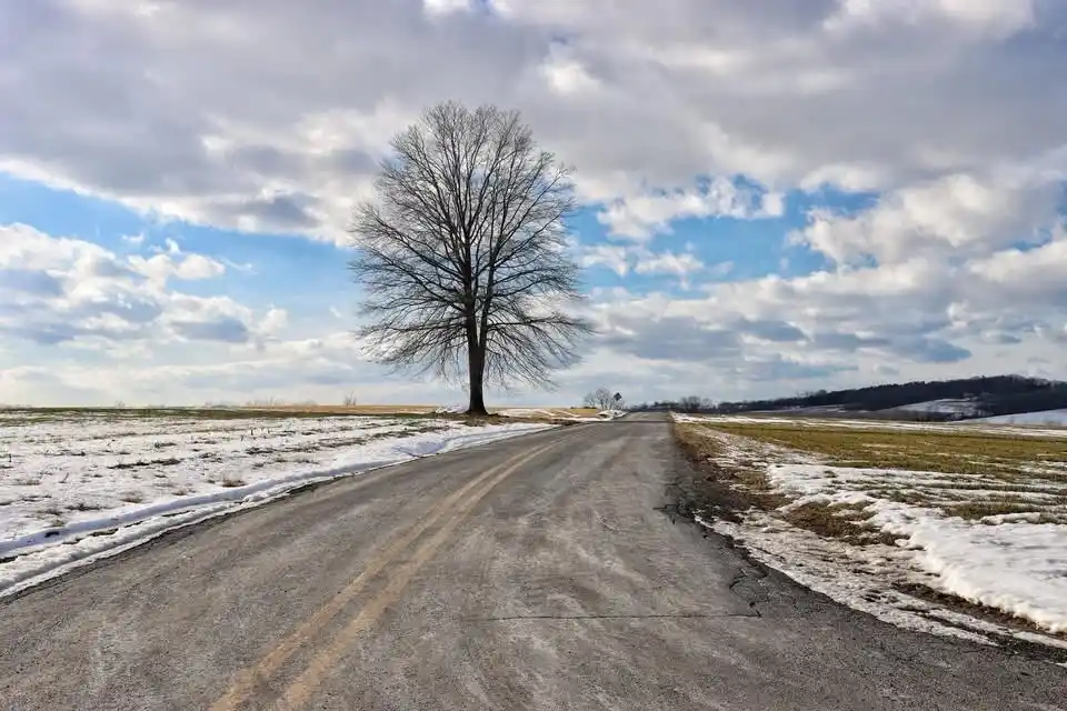 A lone, bare tree stands in the middle of a snow-dusted rural road under a partly cloudy sky. The road stretches into the…