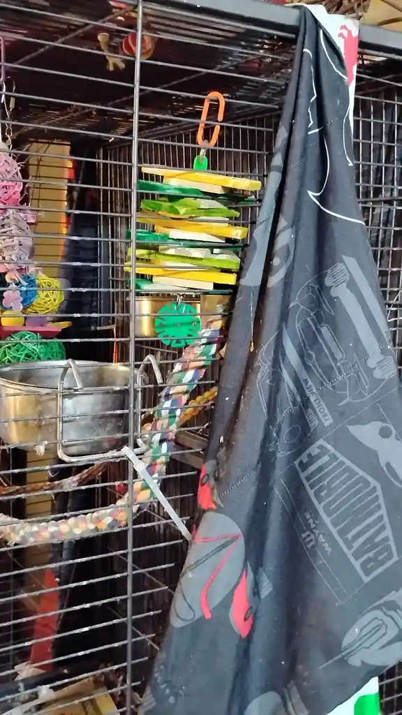 A bird cage filled with colorful toys, ropes, and a metal food dish, with a black Batman-themed towel hanging on the right…