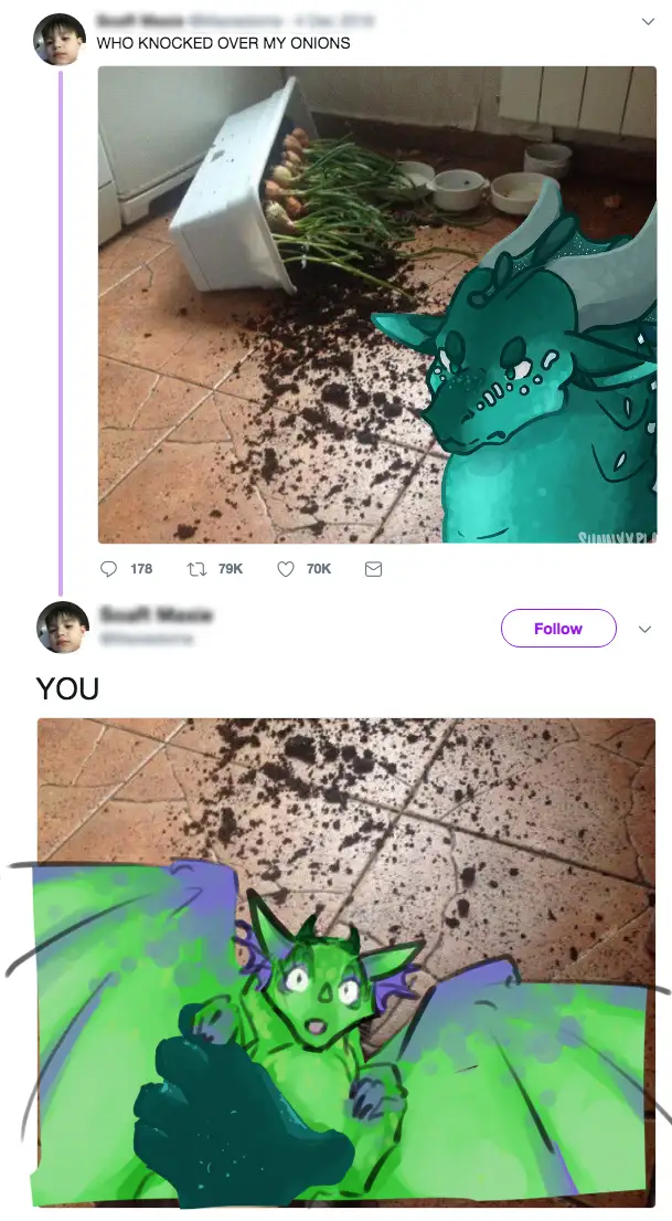 The top image shows a spilled container of onions on a tiled floor with dirt scattered around, overlaid with a sad-looking…