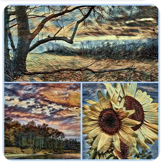 Embracing the beauty of autumn!
