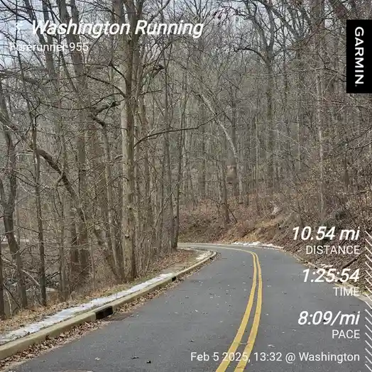 A screenshot from a Garmin Forerunner 955 GPS watch showing a running route through a leafless forest. The road is paved…