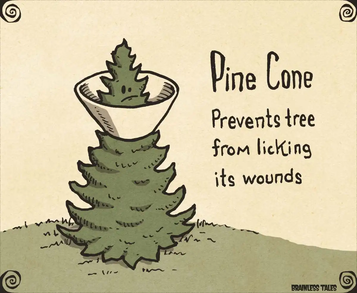 A cartoon drawing of a pine tree with a sad-looking pine cone sitting on its top, as if wearing a hat. The text on the right…