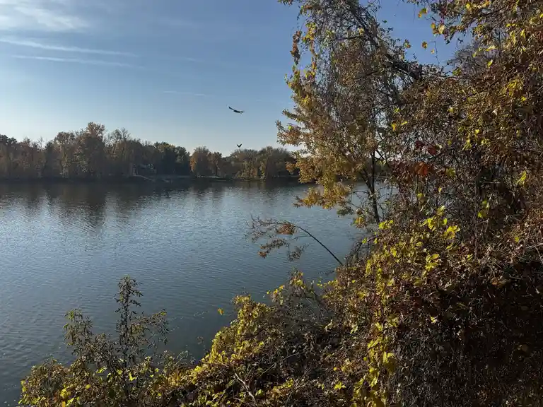 A scenic autumn photo shows a calm lake bordered by trees with yellow and orange leaves under a clear blue sky. Two birds…