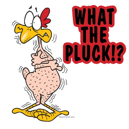 A cartoon chicken with wide eyes and a shocked expression stands upright, its body visibly plucked bare, with only its head…