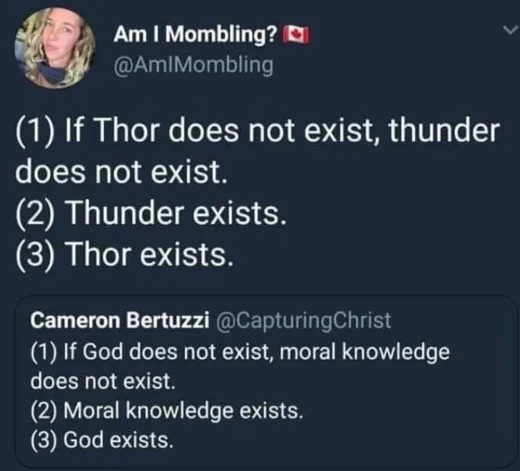 You Can't Argue with That Kind of Logic!
