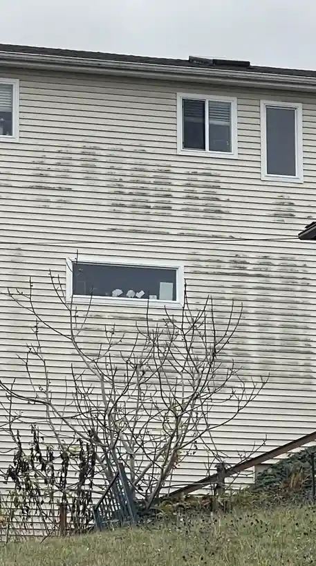 A photo of a weathered beige house with white trim, showing several windows, one of which has three white paper cutouts…