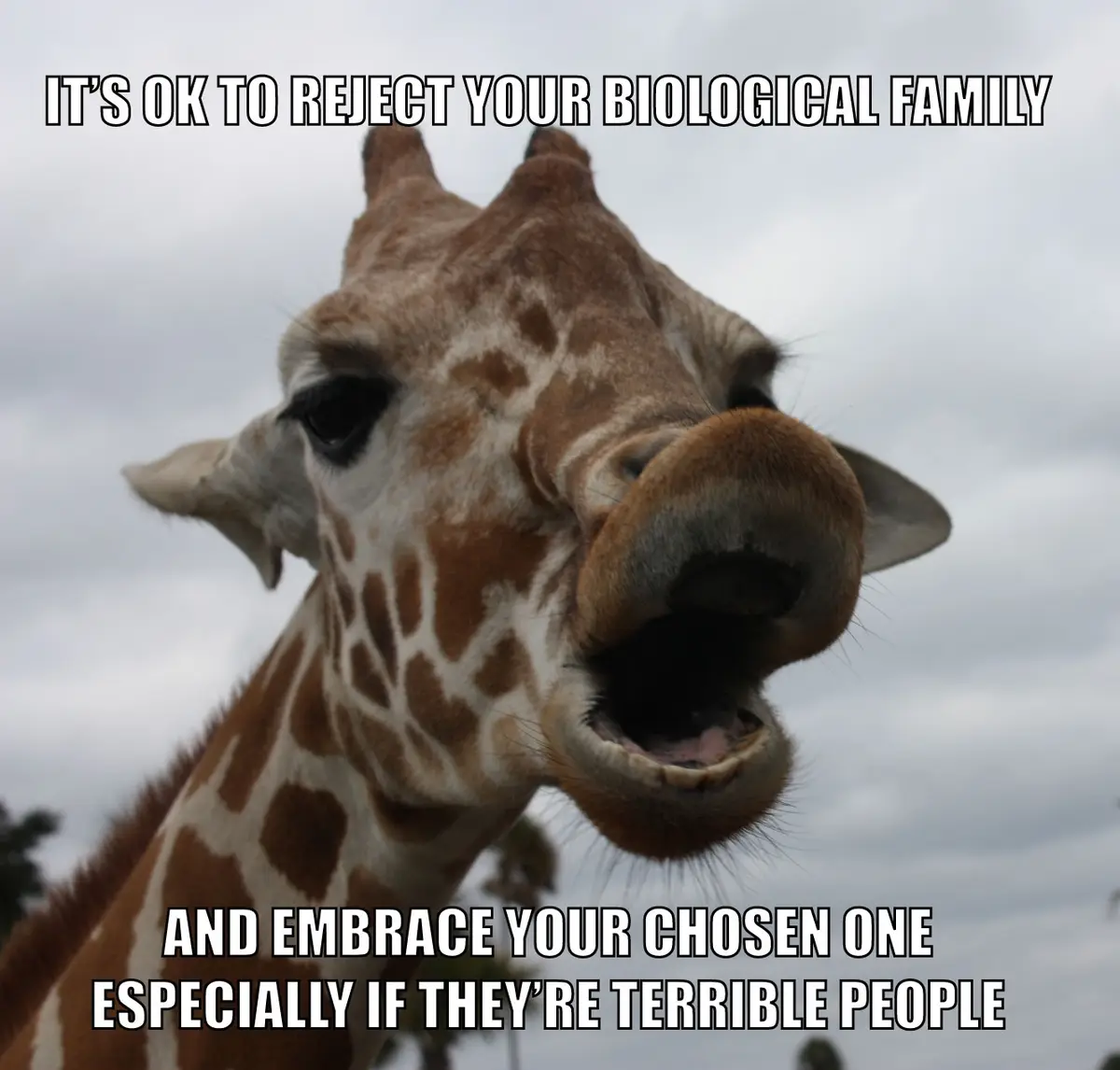A close-up photo of a giraffe looking down with its mouth open, set against a cloudy sky. The image has white text overlaid…