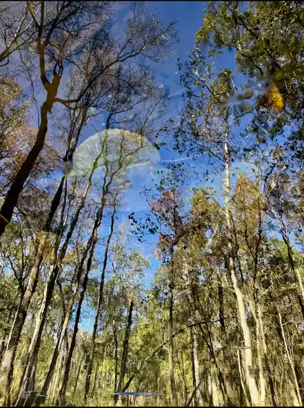 Captivating reflections dancing on the water's surface.