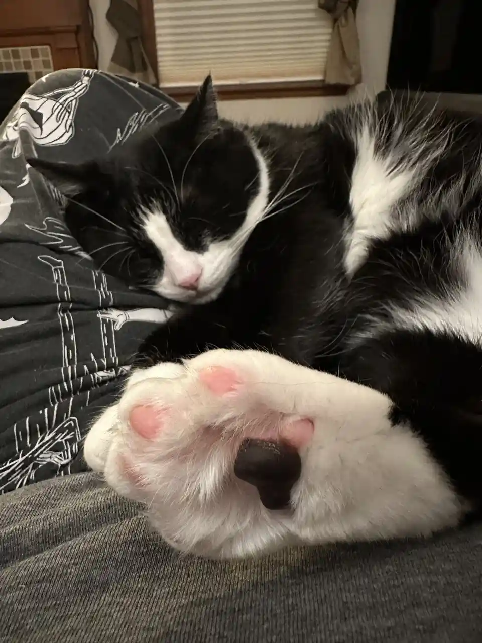 The OnlyBeans Lifestyle
