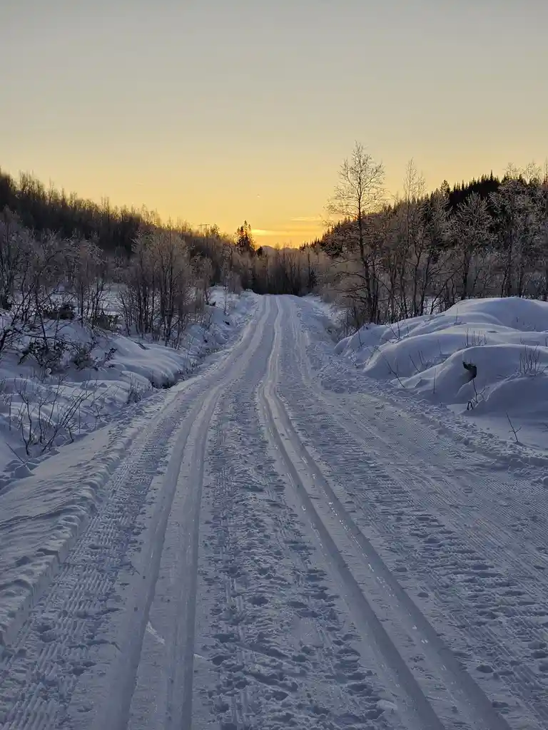 A snowy road with tire tracks stretches into the distance under a golden sunset, flanked by snow-covered trees. Overlaid…