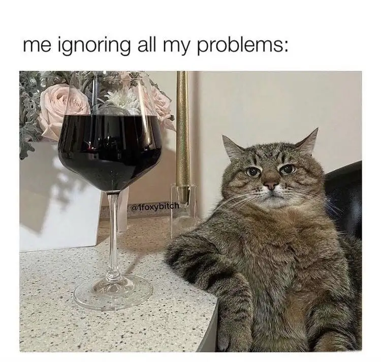 Indifference Level: Expert