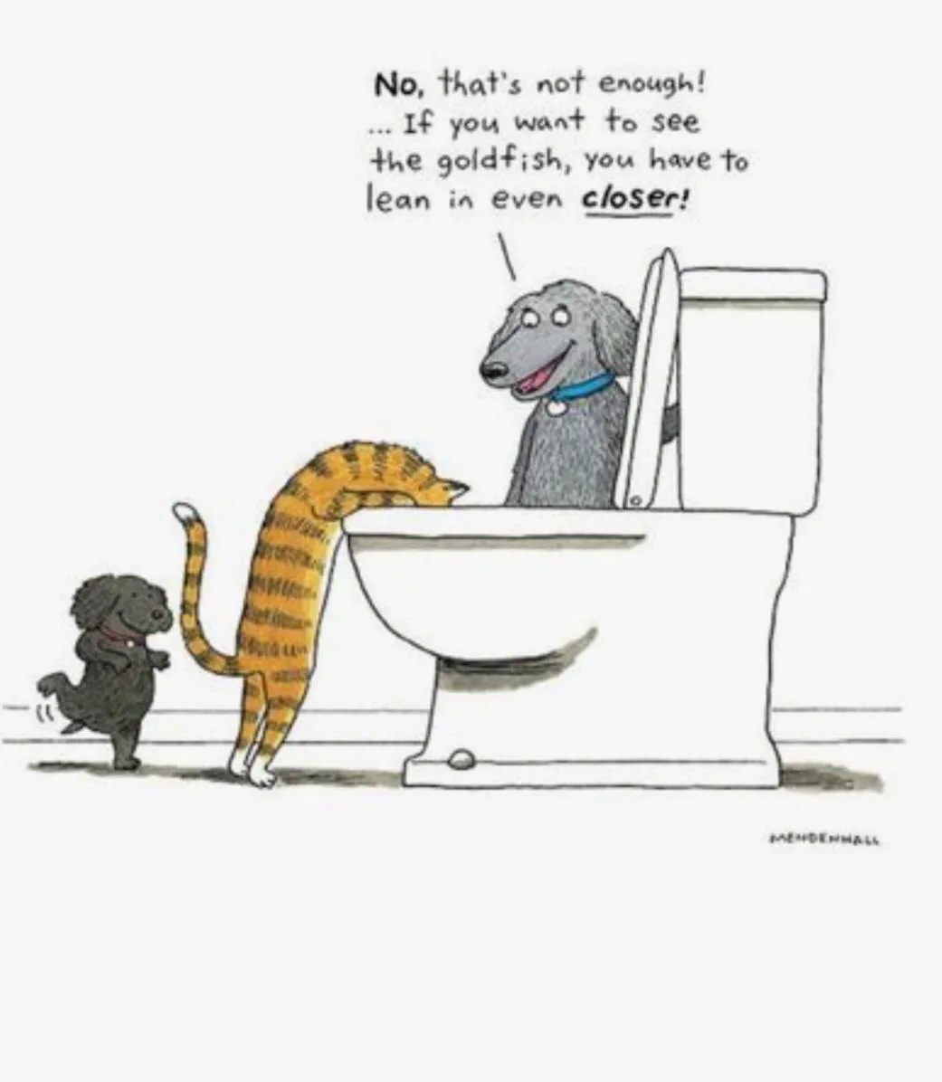 A cartoon depicts a gray dachshund sitting inside a toilet bowl, smiling and speaking to a small black dog and a striped…