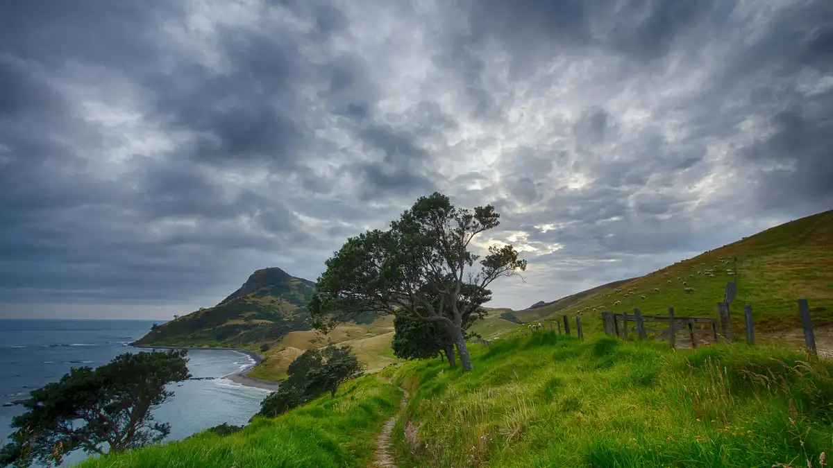 Towering hillsides cloaked in emerald green surrender to the rugged coastline, where waves crash against the shore below. A…