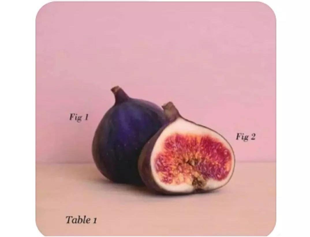 An image of two figs against a pink background, one whole and one cut in half, labeled 'Fig 1' and 'Fig 2' respectively…