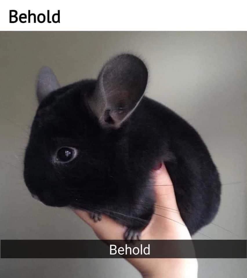 Behold the Marvel!