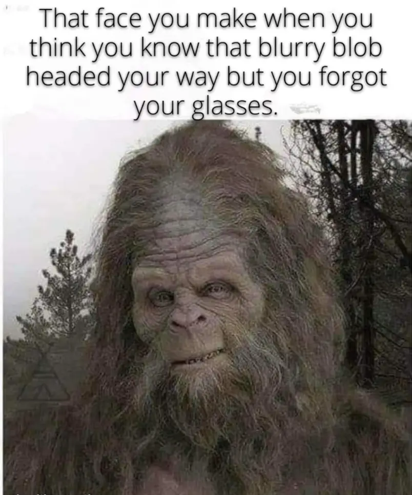The image shows a close-up of a large, hairy, ape-like creature with a confused and slightly amused expression, standing…