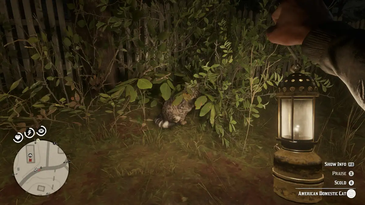 A screenshot from a video game shows a player holding a lantern, illuminating a tabby cat hiding in bushes at night. The…