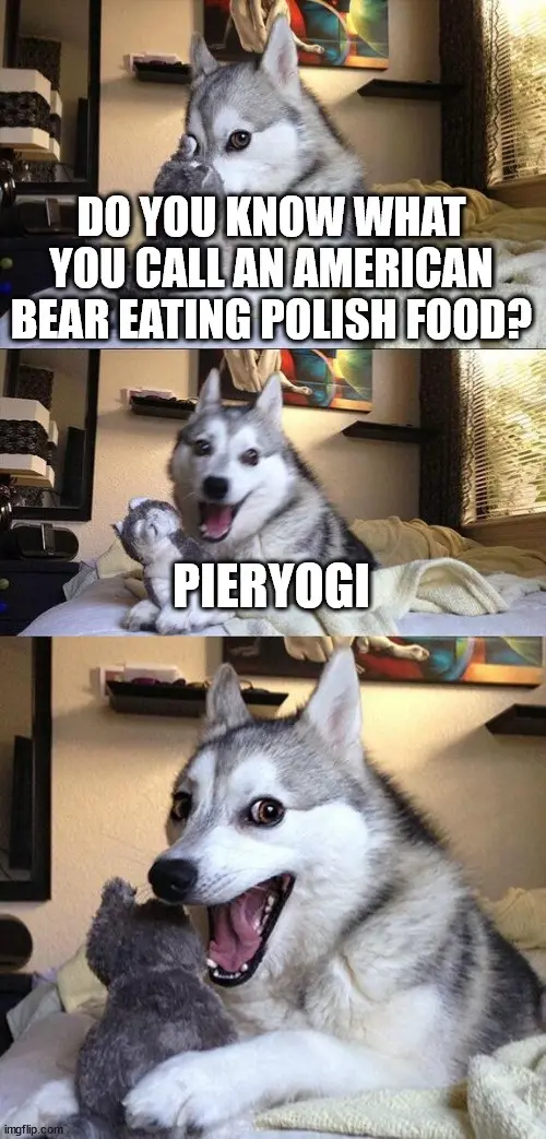 A three-panel meme featuring a husky dog in a bedroom. In the top panel, the husky looks confused with text asking 'DO YOU…