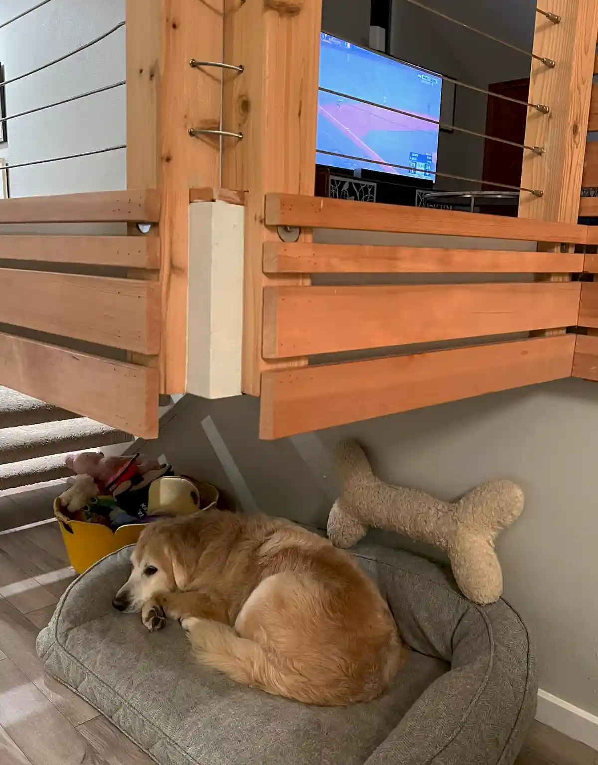 A golden retriever is curled up asleep in a grey dog bed under a wooden staircase, with a large bone-shaped stuffed toy…