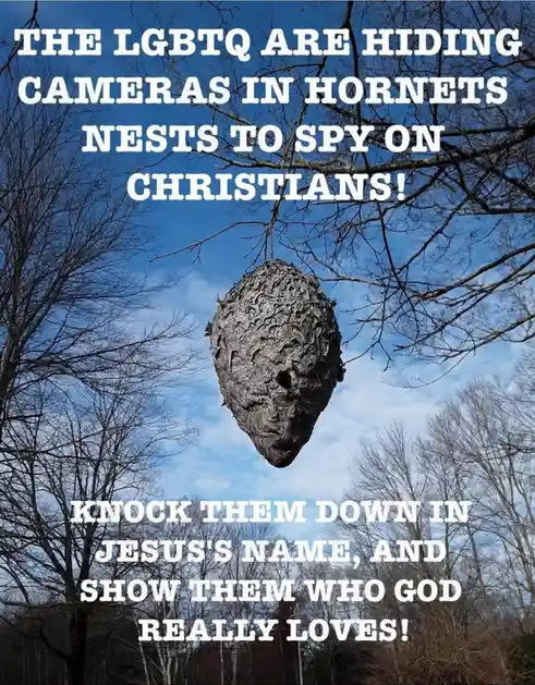 A large, gray hornet nest hangs from bare tree branches against a blue sky with scattered clouds. White, bold, all-caps text…