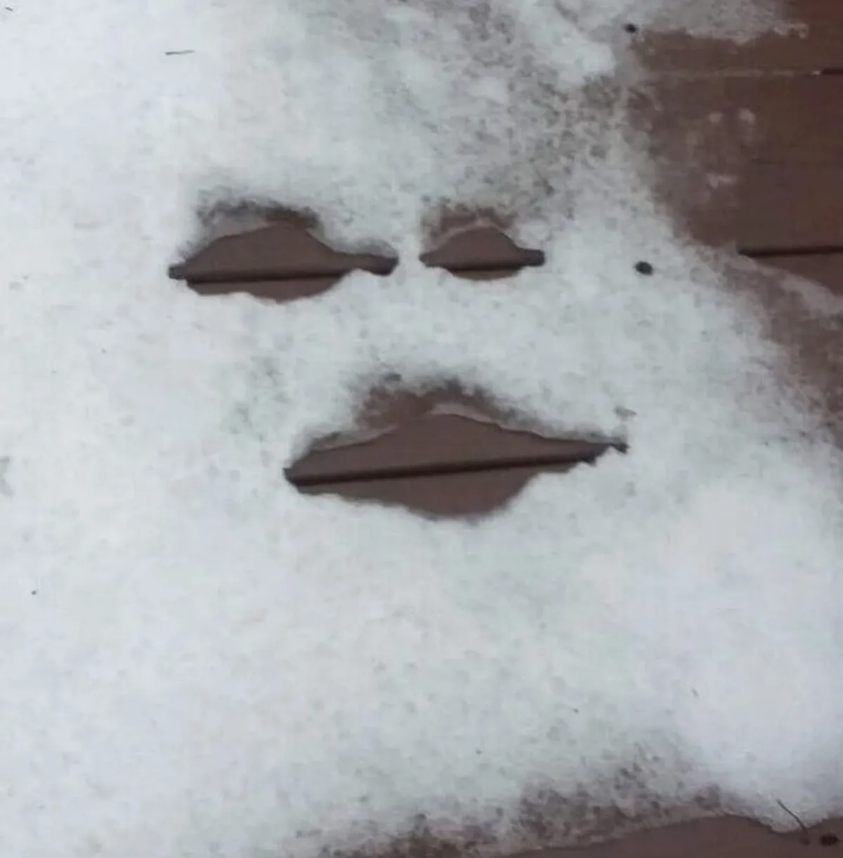 A close-up photo shows a patch of snow covering a wooden surface, with three distinct indentations resembling eyes and a…