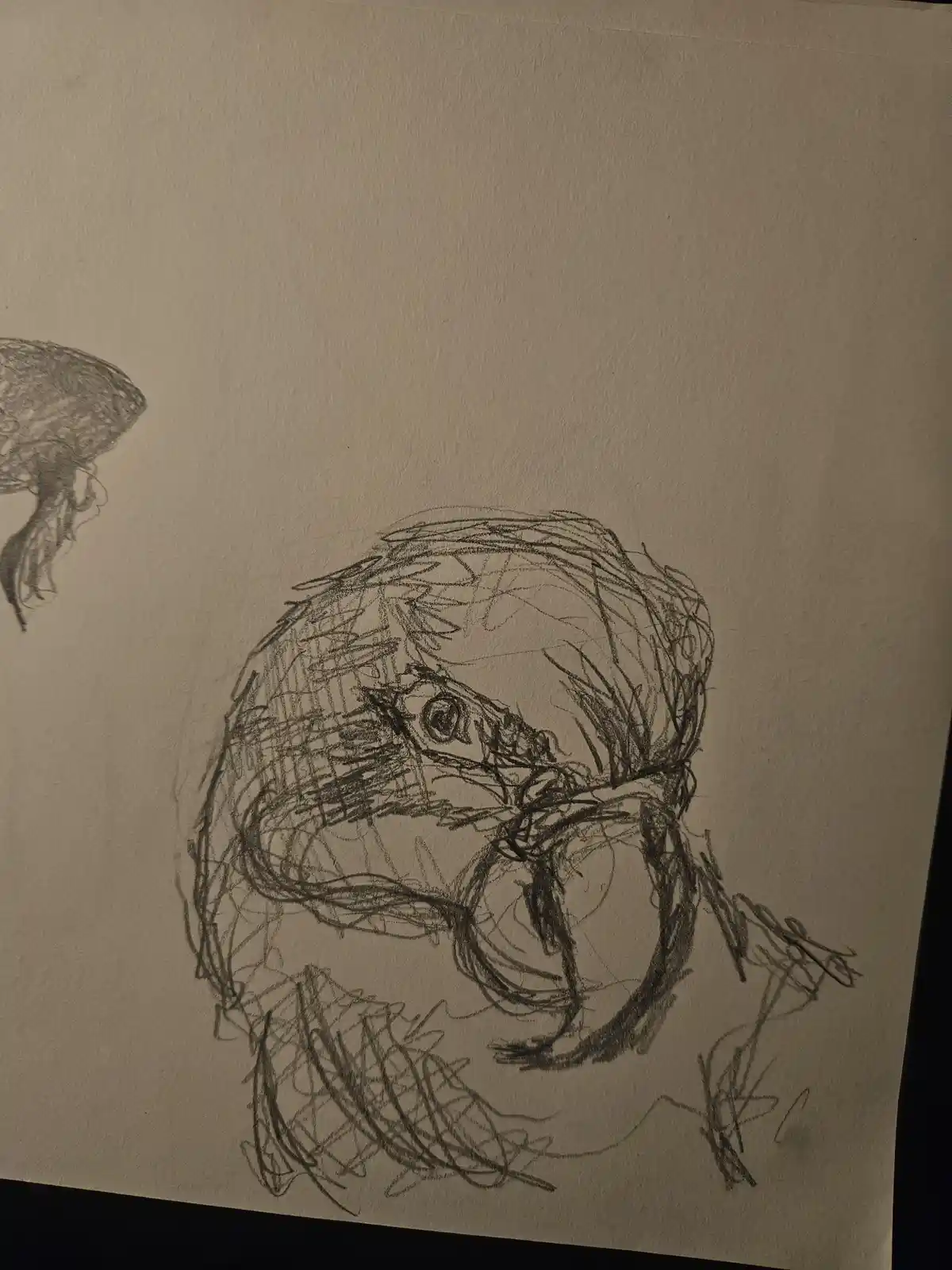 A rough pencil sketch on textured paper shows a bird's head with messy, scribbled lines, and a partial sketch of another…