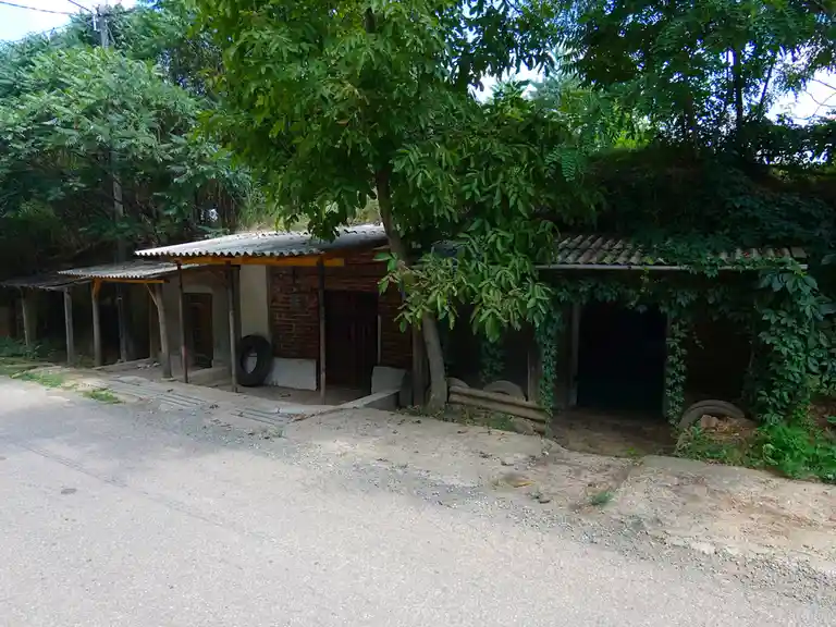 a photo of a dilapidated, rustic building with corrugated metal roofing, brick walls, and overgrown vines, situated beside a…