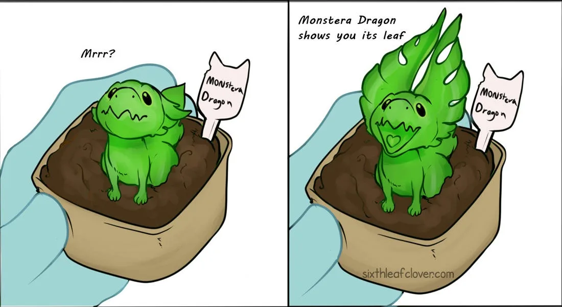 A two-panel comic shows a small green dragon-like creature in a pot of soil, labeled 'Monstera Dragon'. In the first panel…